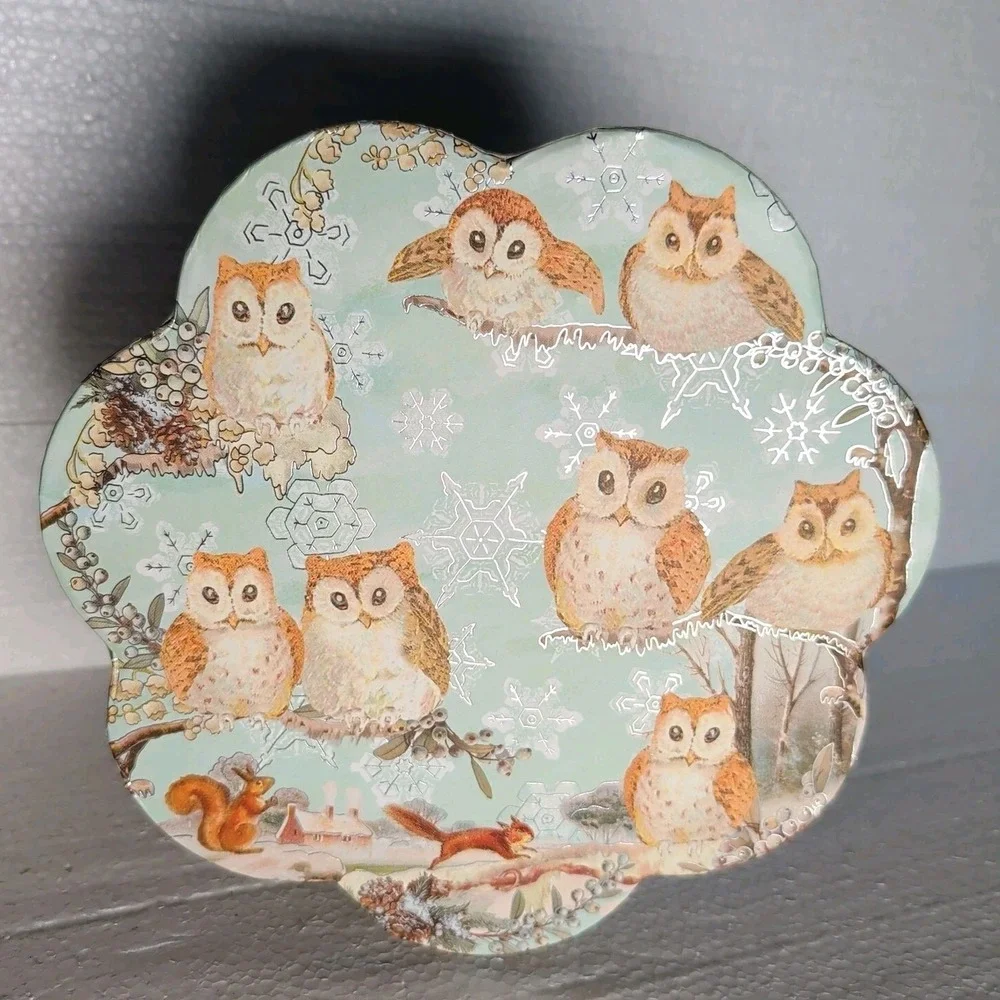 Punch Studio Owl Decorative Gift Box Medium Silvery Foil Accents Kirshner Arts